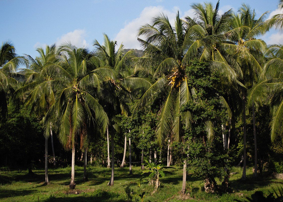 gallery of CV BERKAH RAHAYU SAGUNGDUMADI 2